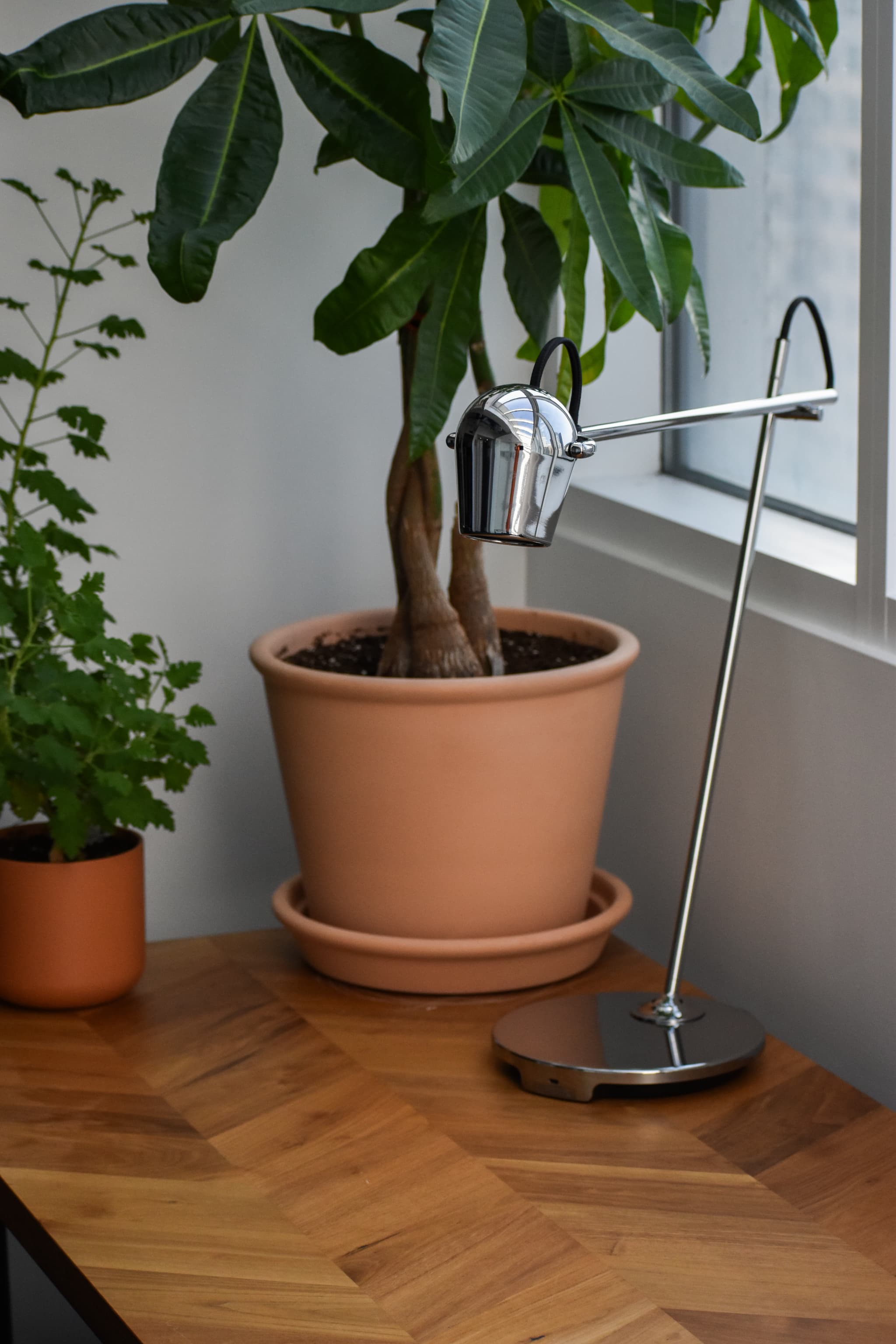 Bright modern meeting room